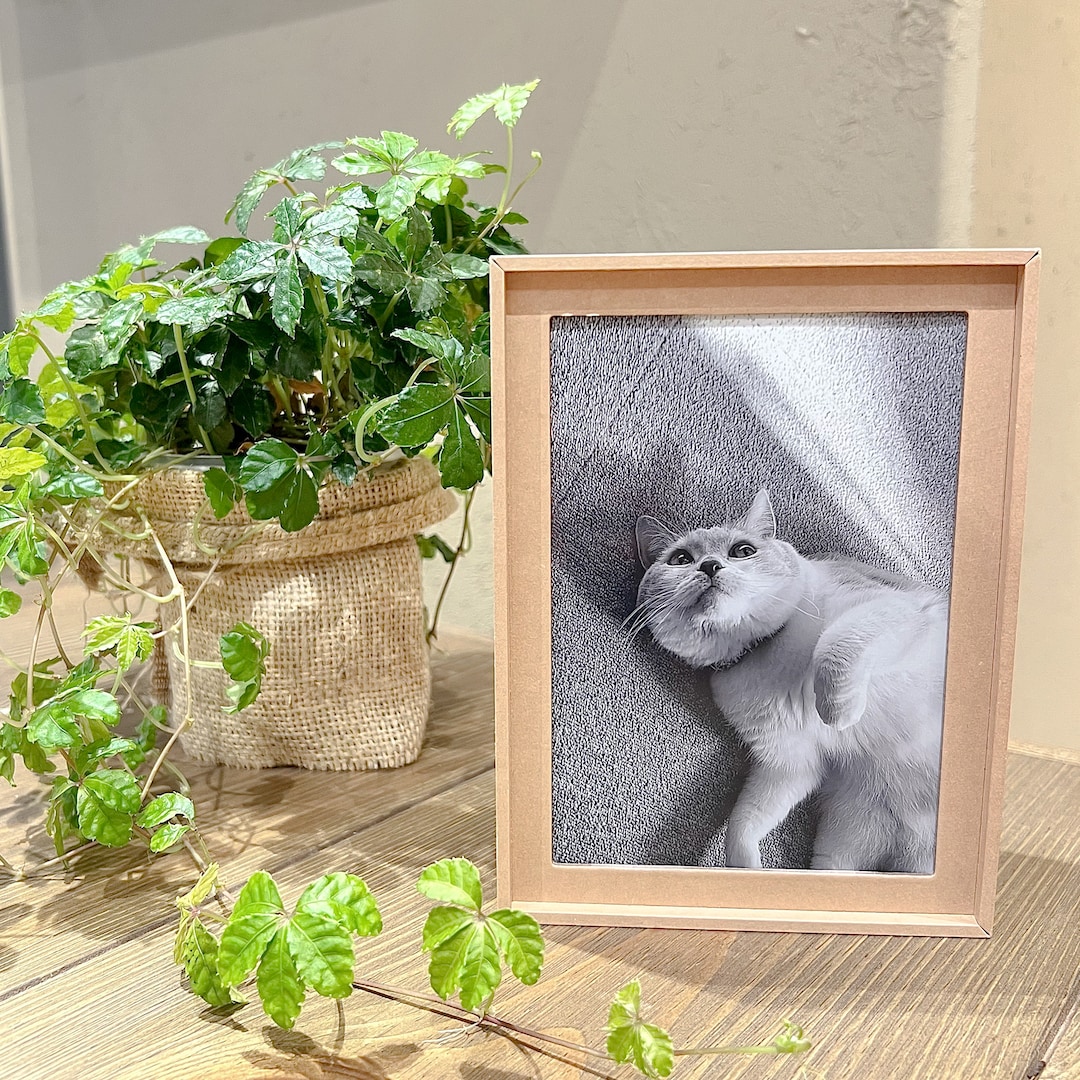 グランフロント大阪】お気に入りのカードたちを保管して、飾って